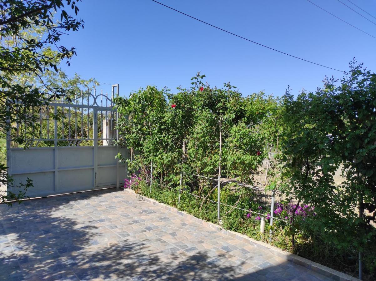 Alanthia Lägenhet Vlorë Exteriör bild